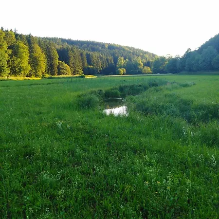 Am Bach - Apartment *
