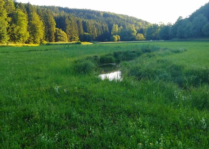 Am Bach - Deuerling